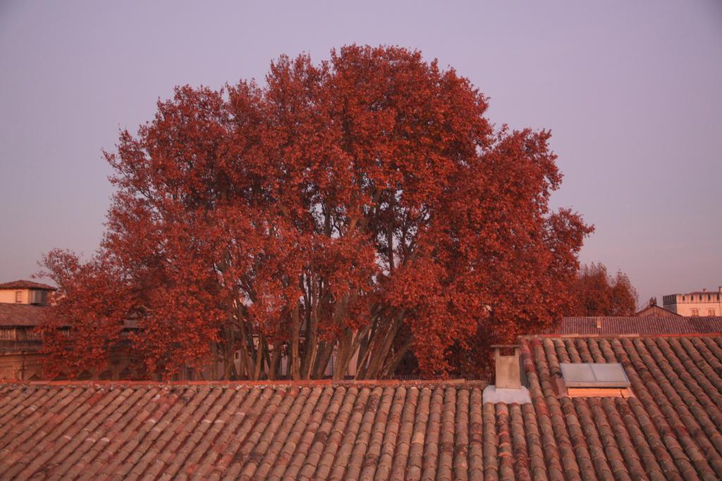 A La Terrasse D'Avignon Διαμέρισμα Εξωτερικό φωτογραφία